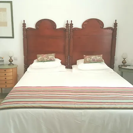 Canaritos لاس بالماس دي غران كاناريا