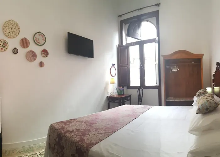 Canaritos ゲストハウス ラスパルマス・デ・グランカナリア