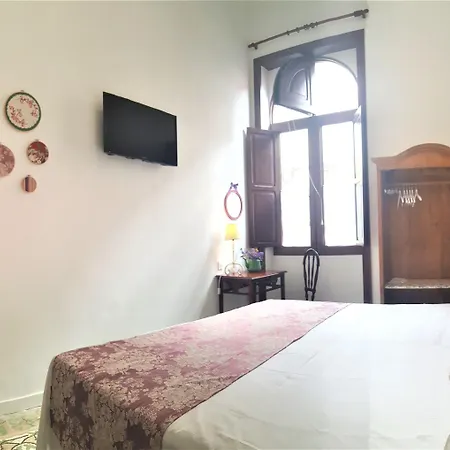 Canaritos Las Palmas de Gran Canaria