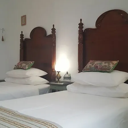 Canaritos